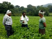 Growing Fortunes With Organic Farming