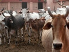 ‘Amrut Mitti’ to turn barren lands into fertile fields