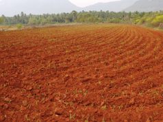 భూ సంరక్షణ కీలకం