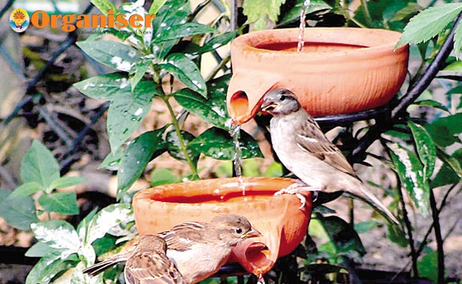 మూగజీవులకు అత్యద్భుతమైన సేవ