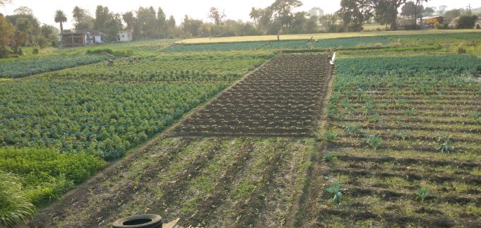 Baghuvaar – A model village in Madhya Pradesh