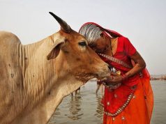 గో సంరక్షణ చట్టం సద్వినియోగం చేసుకుందాం