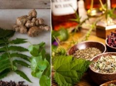 Tackling the menace of COVID19 with home made Ayurvedic remedies – A doctor prescribes