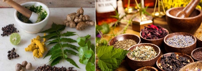 Tackling the menace of COVID19 with home made Ayurvedic remedies – A doctor prescribes