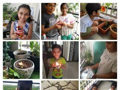 Kargil Diwas 2020 celebrations by Balagokulam Bharat, Hyderabad